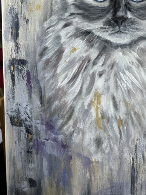Obraz olejny 50x70 cm „Ragdoll Gillian– błękitne spojrzenie”